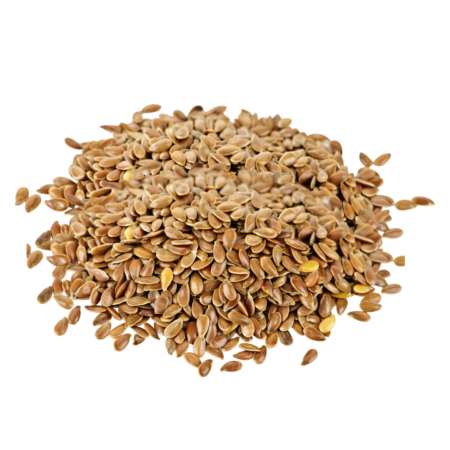 Flax Seeds